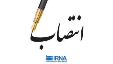 دبیر ستاد توسعه اقتصاد دانشبنیان مواد و ساخت پیشرفته معاونت علمی منصوب شد