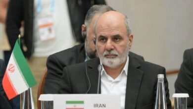 احمدیان: سلاح اتمی در دکترین دفاعی ایران هیچ جایگاهی ندارد