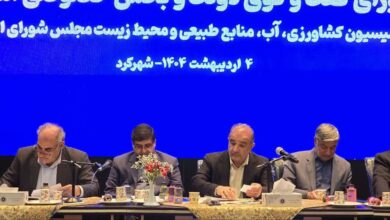 استاندار: مصوبه‌های کمیسیون کشاورزی مجلس برای چهارمحال و بختیاری با اولویت پیگیری می‌شود