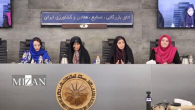 بهروزآذر: دولت موظف به رفع موانع رشد و شکوفایی زنان است