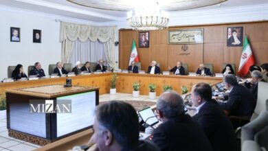 تقدیر هیئت دولت از مجوز راهبردی رهبری/ گزارش جامع وزیر امور خارجه از نخستین دور مذاکرات غیر مستقیم با آمریکا