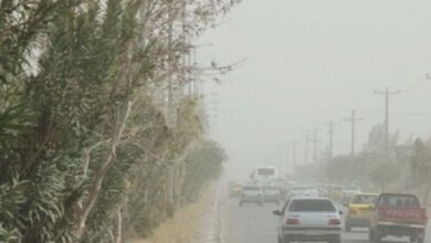 تندباد ۹۰ کیلومتری در اصفهان ۴۳ اصله درخت را شکست