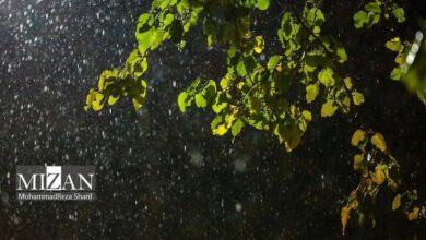 کیفیت هوای پایتخت ۱ اردیبهشت ۱۴۰۴؛ بارش باران، رعدوبرق و وزش باد شدید در نیمه‌غربی کشور