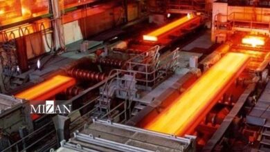 از تخصیص ارز تا لغو قطعی برق؛ نقش کلیدی مستندات در تصمیمگیریهای کلان