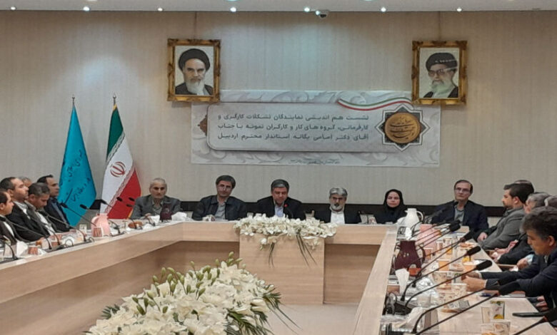 استاندار اردبیل: حل مشکلات کارگران در گرو حل مشکل جامعه کارفرمایی است
