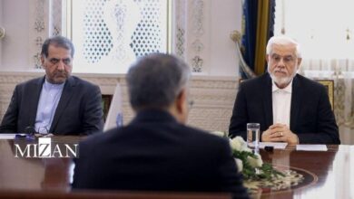 باید جایگاه اکو در منطقه ارتقاء یابد/آمادگی برای انتقال تجربیات جمهوری اسلامی ایران در زمینه امنیت فضای سایبری