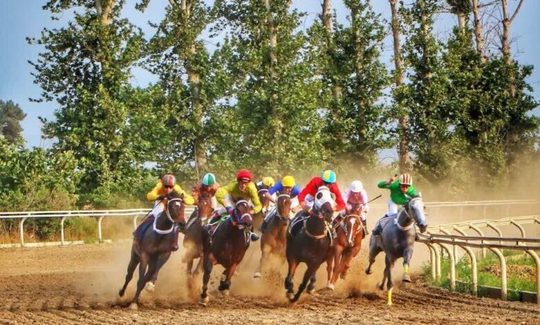 تاخت ۵۴ اسب در آغاز هفته هشتم کورس گنبدکاووس+فیلم