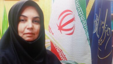 جمعیت؛ حوزه‌ای نیازمند سیاستگذاری آگاهانه و فرهنگ‌محور