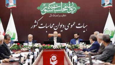 دستغیب: وظیفه دیوان محاسبات گزارش واقعیت‌های اقتصادی به مردم و تصمیم گیران کشور است