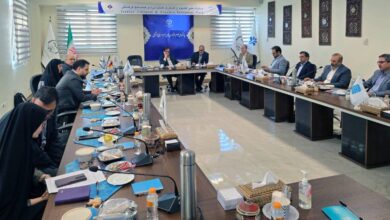 ساماندهی هوش مصنوعی با حمایت نگاه حاکمیتی امکان‌پذیر است