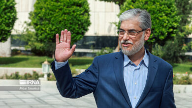سیمایی با هدف شرکت در گردهمایی «نبض ایران، خلیج فارس» وارد قشم شد