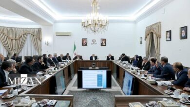 عارف: اموال مازاد برای سرمایه‌گذاری در تولید استفاده می‌شود