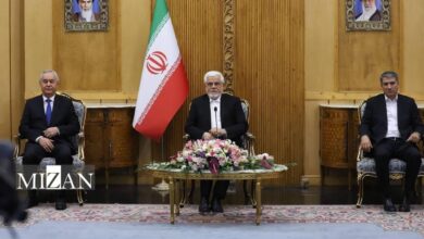 عارف: توسعه روابط تهران-دوشنبه جز اولویت‌های اول روابط سیاست خارجی ایران است