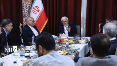 عارف: رابطه خوب دولت با رهبر معظم انقلاب سرمایه‌ای برای دولت در حل مشکلات اساسی کشور است