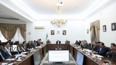 عارف: شعار سال، برش یک‌ساله سیاست‌های کلی برنامه است