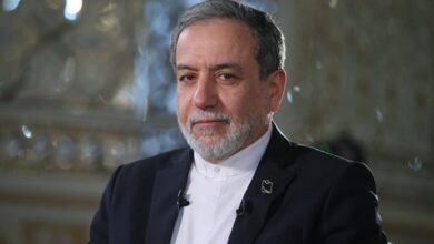 عراقچی بمنظور شرکت در نشست دیپلماسی استانی وارد شیراز شد