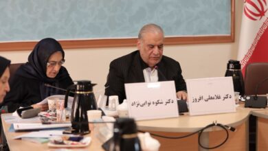 فرزندپروری مسئولانه نقشی حیاتی در پیوند نسل‌ها و تضمین آینده جامعه دارد
