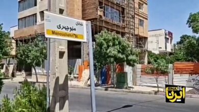 فیلم| روایت شاهدان عینی از جنایت خیابان منوچهری شیراز