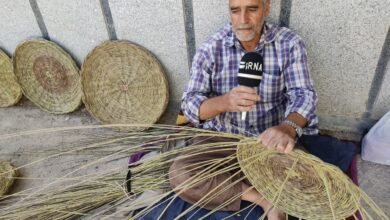 فیلم| هنرمند سبدباقی مهریز یزد از دغدعه های این حرفه سنتی می گوید