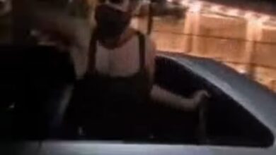 فیلم/دستگیری اوباش حمله کننده به سرنشینان یک دستگاه خودرو در حوالی شیراز