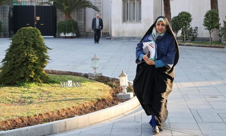 لایحه حمایت از زنان به دلیل تغییرات ماهوی در مجلس مسترد میشود