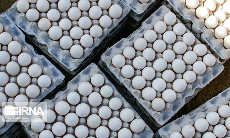 متفورمین، تخم‌گذاری مرغ‌ها را افزایش می‌دهد