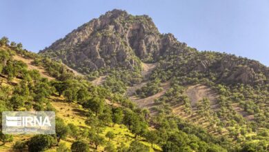 نجات زاینده‌رود در گرو احیای جنگل‌های زاگرس است