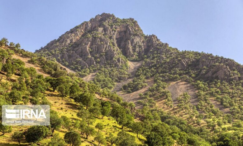 نجات زاینده‌رود در گرو احیای جنگل‌های زاگرس است