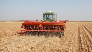 کشاورزی حفاظتی در زنجان موجب کاهش ۳۰ درصدی مصرف آب می‌شود