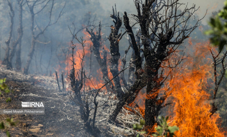آتش‌سوزی در عرصه‌های طبیعی «مله پنجاب» ایلام مهار شد
