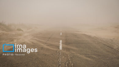 اداره‌های منطقه سیستان هفتم تیر به‌صورت دورکاری فعالیت خواهند کرد