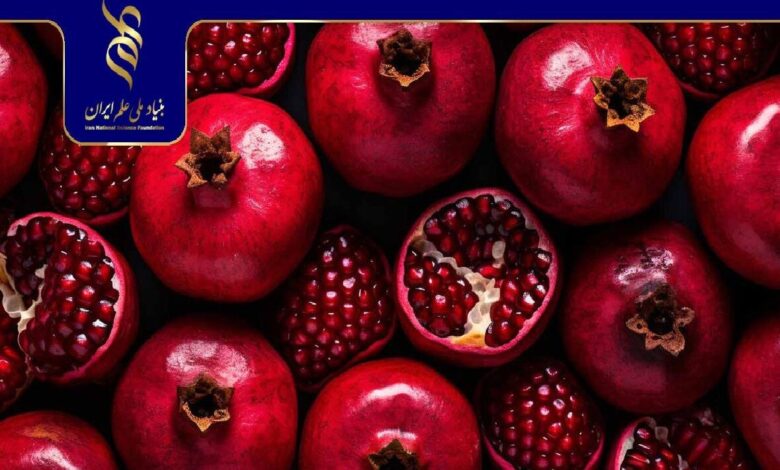 ارزیابی قابلیت انبارمانی انار ایران در دمای سرد