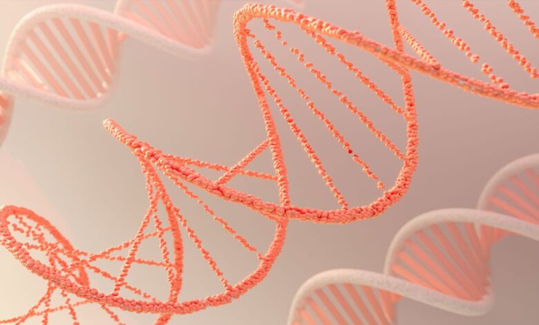 بررسی انتقال RNA به نقاطی فراتر از کبد برای درمان سرطان