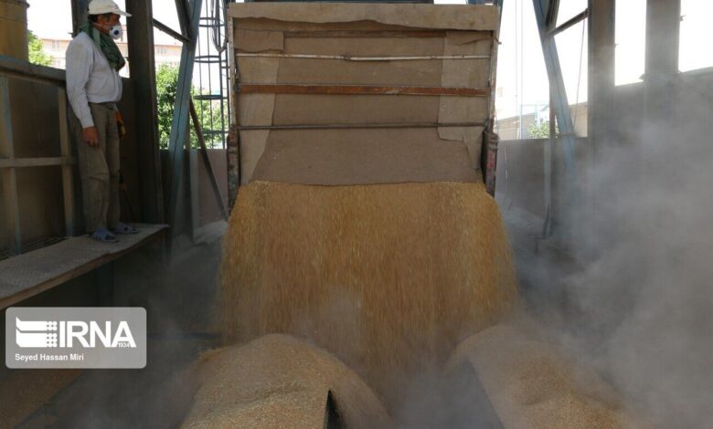 بیش از پنج هزار تن گندم از کشاورزان خراسان جنوبی خریداری شد