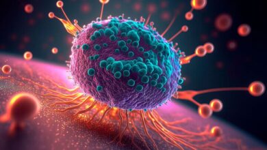 تشخیص دقیق و سریع سرطان با سامانه «Avax AI»