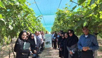 تمدید مهلت فراخوان جذب مروج- پژوهشگر پسادکتری کشاورزی و منابع طبیعی