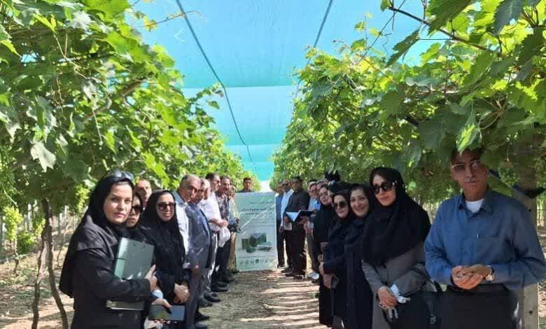 تمدید مهلت فراخوان جذب مروج- پژوهشگر پسادکتری کشاورزی و منابع طبیعی