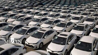 تکذیب توقف ترخیص خودرو‌ها در گمرک شهید رجایی/ امحای اسناد واردات خودرو در گمرک صحت ندارد