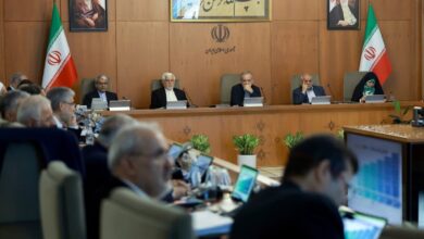 دستور رئیس جمهور برای تجهیز سازمان حفاظت محیط زیست به پهپاد و دوربینهای جدید