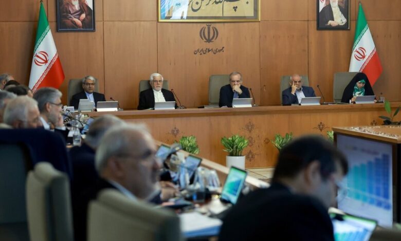 دستور رئیس جمهور برای تجهیز سازمان حفاظت محیط زیست به پهپاد و دوربین‌های جدید