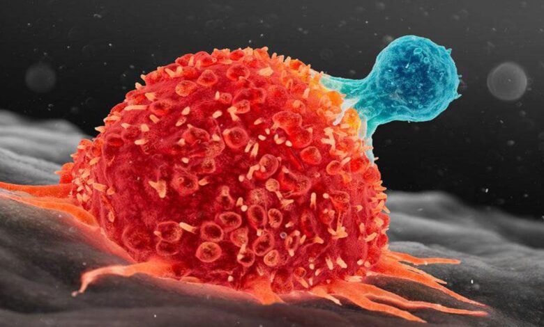 رونمایی از نانوذرات مغناطیسی هوشمند برای هدف‌گیری دقیق تومورهای سرطانی