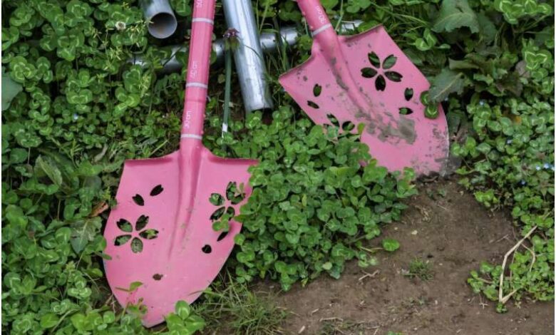 سرنوشت خاک‌های آلوده پس از حادثه اتمی نیروگاه فوکوشیما چه شد؟