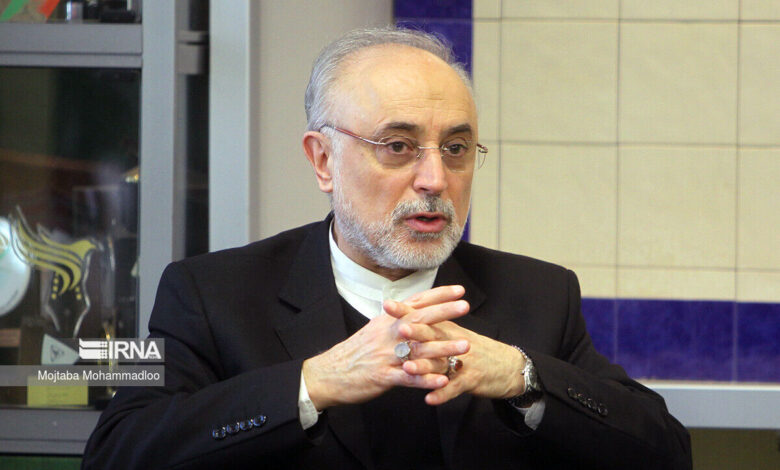 صالحی: تاسیس شعب ایران‌شناسی در استان‌ها گامی برای حفظ هویت ملی است