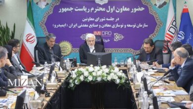 عارف: بخشی از ناترازی‌های موجود ناشی از نظام بروکراتیک است