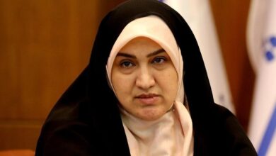 عضو فراکسیون زنان مجلس: ساماندهی خودرو‌های مسافربر شخصی باید در اولویت قرار گیرد