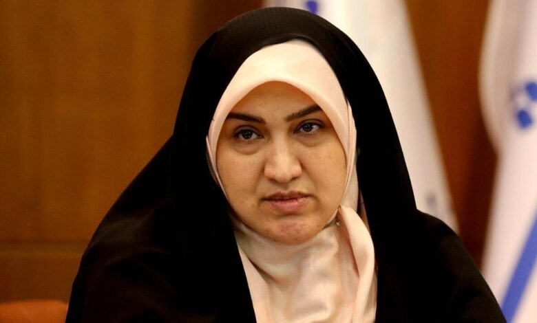 عضو فراکسیون زنان مجلس: ساماندهی خودرو‌های مسافربر شخصی باید در اولویت قرار گیرد