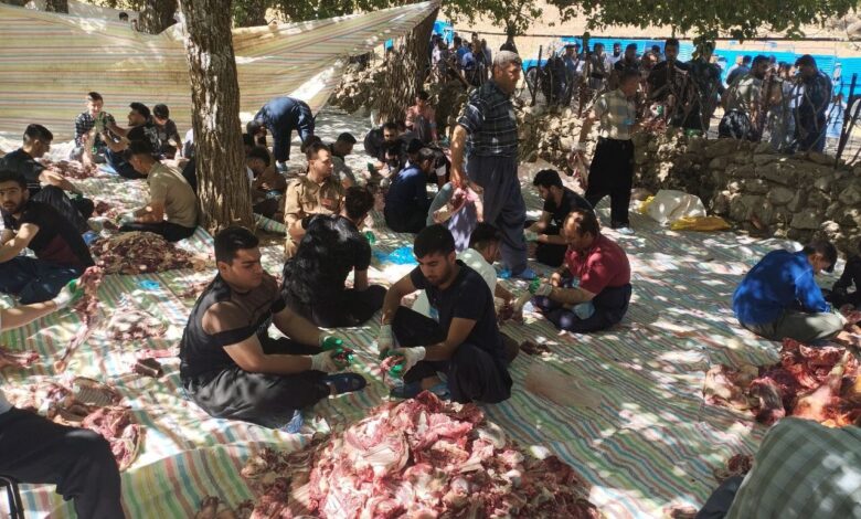 قربانی در «بانه‌وره»، آیین تقسیم لبخندها + فیلم