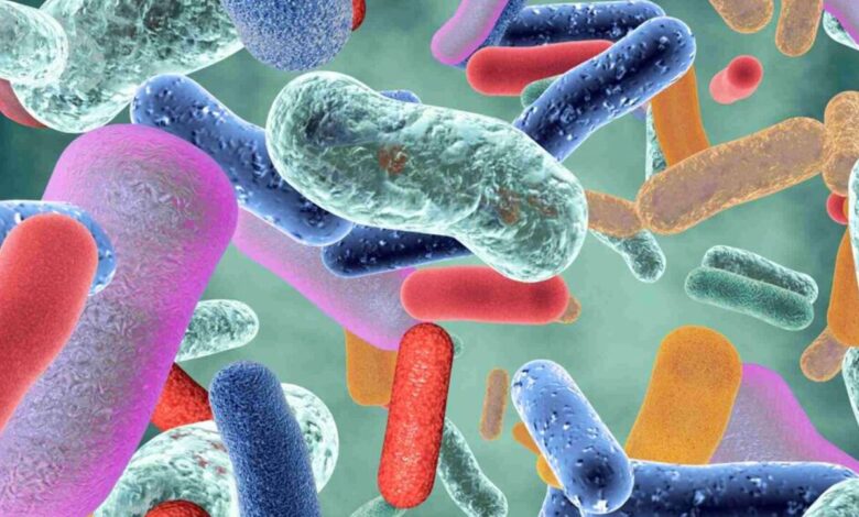 مواد معدنی معمولی با فناوری‌نانو به سلاح ضد میکروبی تبدیل می‌شوند