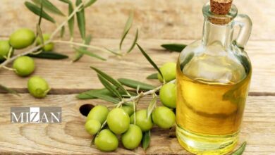 هشدار سازمان ملی استاندارد ایران درباره روغن زیتون‌های تقلبی