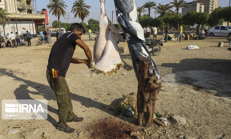هشدار وزارت بهداشت در خصوص ذبح غیر بهداشتی دام در عید قربان
